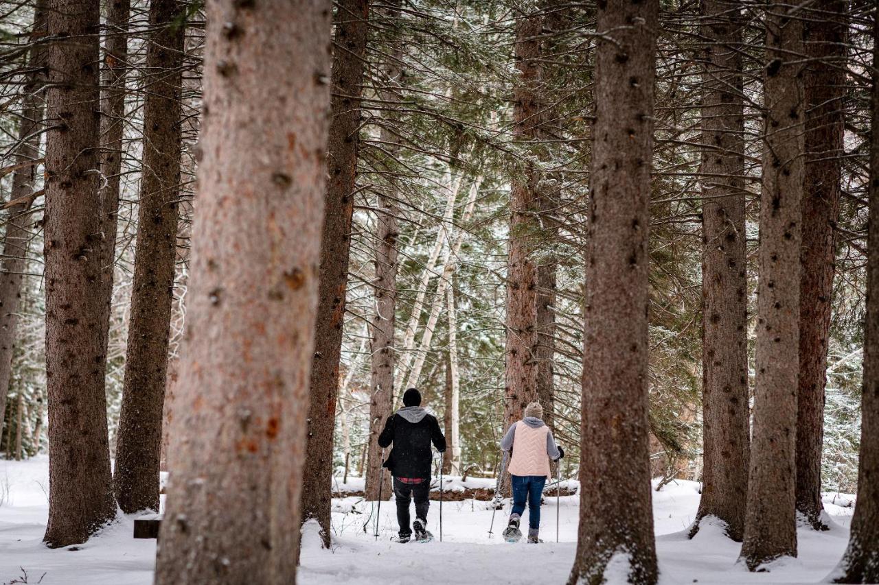 Spearfish Canyon Lodge ภายนอก รูปภาพ